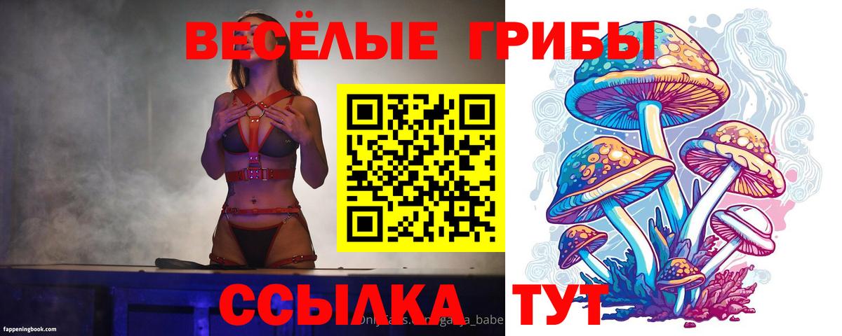 Псилоцибиновые грибы Psilocybine cubensis  Галлюциногенные грибы Cubensis  Заинск  Вход с VPN 